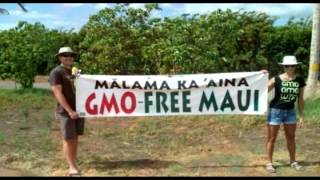 THE LAST DRAG written by Sean Kelly