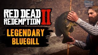 Red Dead Redemption 2 Legendary Fish - Legendary Bluegill