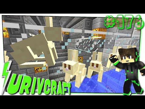 Surivcraft Ep.176 - Semplice Farm di CONIGLI