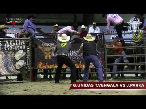 VENGALA VS J .PARKA CHILP