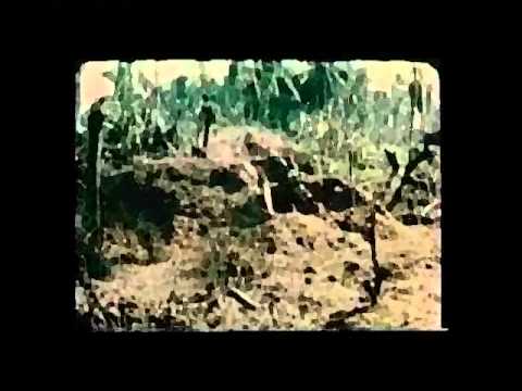 PAINT IT BLACK - Vietnam War - Psychostasia