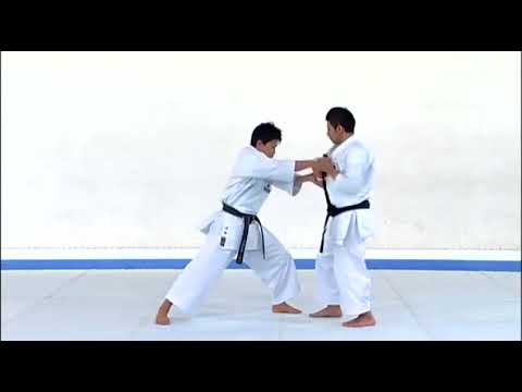 SEIPAI KATA & BUNKAI