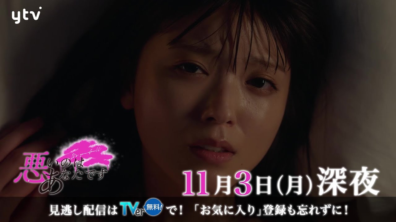 悪いのはあなたです