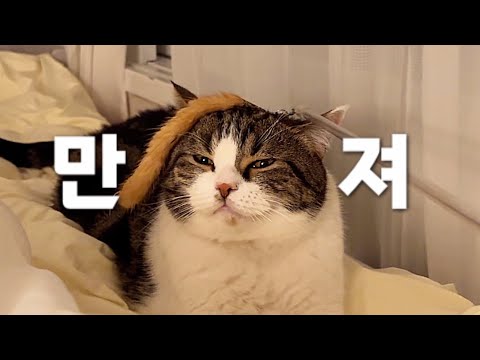 나만 만져!!! | 외동묘이고 싶은 막내