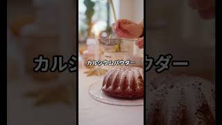 【初心者必見】ヒョウモントカゲモドキの飼い方