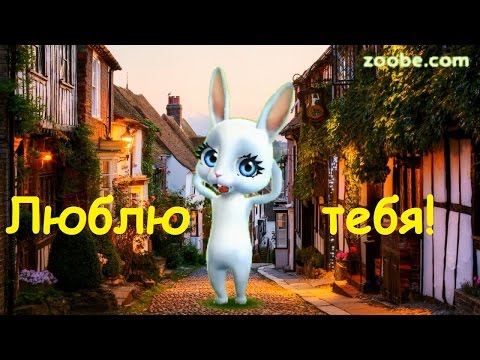 Zoobe Зайка В день влюбленных даже улицы целуются!