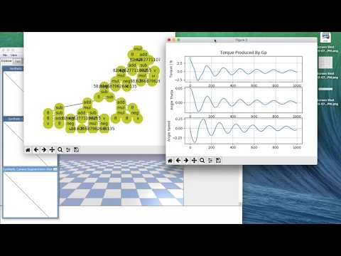 Cart-Pole Balancing with genetic programming