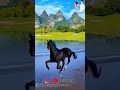 #animal #horse #horseriding #horselover #shorts