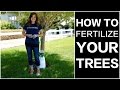 How To Fertilize Trees