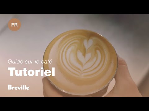 miniature vidéo