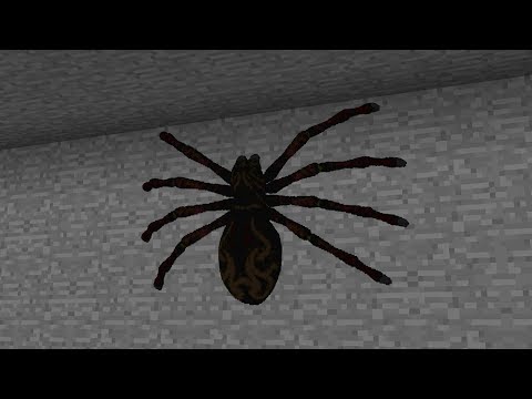 Minecraft | Cursed Images 21 (Real Spiders)