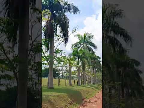 santa luzia do oeste Rondônia