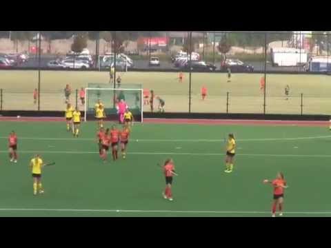 Samenvatting OMHC MC1   Catwijck MC1