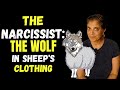The narcissist: the wolf in sheep's clothing