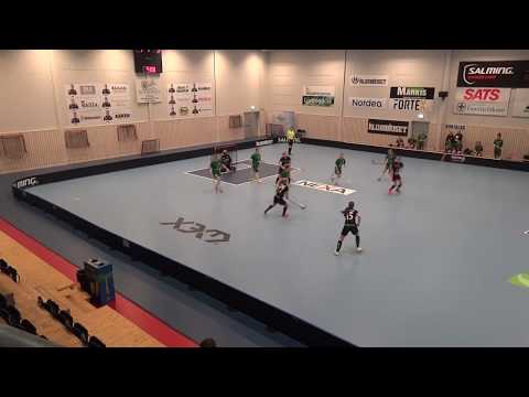 180128 Damer Div.1 VGR Lindås - Burås (4-1) Per1a