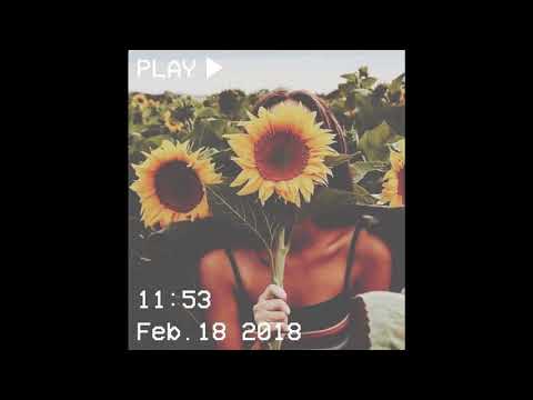 [FREE] Chill Guitar x R&B Type Beat - "SUNFLOWER"