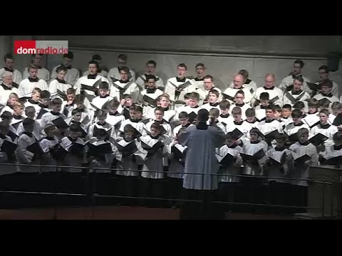 Kölner Domchor | "Missa in C" (KV 220) "Spatzenmesse" W.A. Mozart (2016)