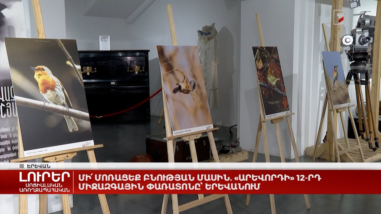 Մի՛ մոռացեք բնության մասին. «Արևորդի» 12-րդ միջազգային փառատոնը՝ Երևանում