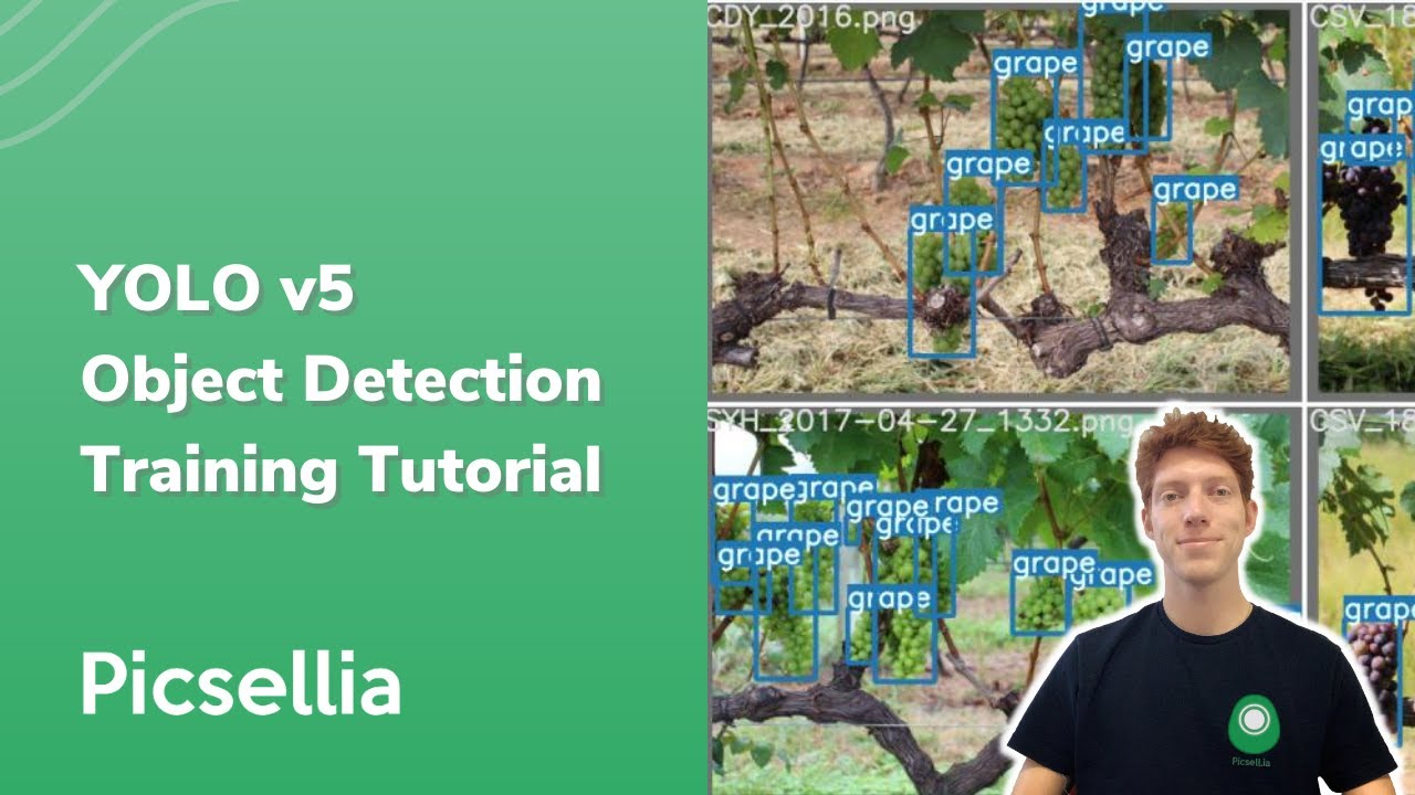 How to train a YOLO v5 on a Custom Dataset - Object Detection