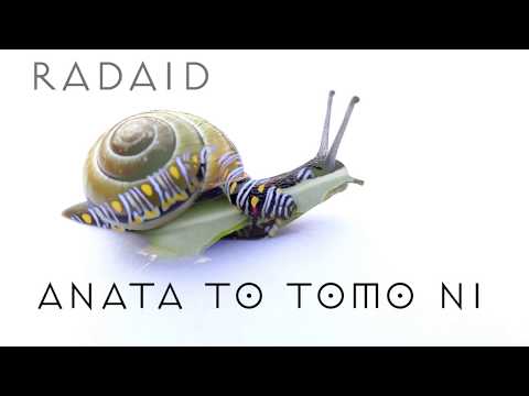 Radaid - Anata to tomo ni (Official Lyric Video)