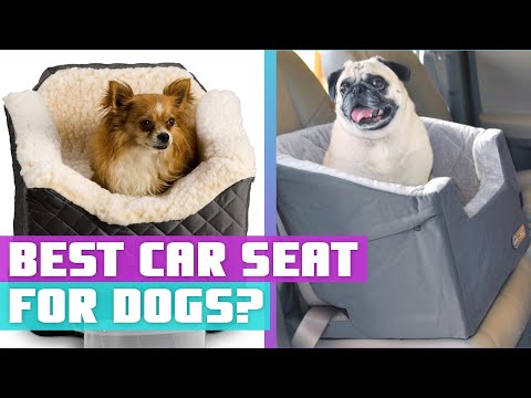 Best Dog Car Seats | Top 5 Car Seats For Dogs Review