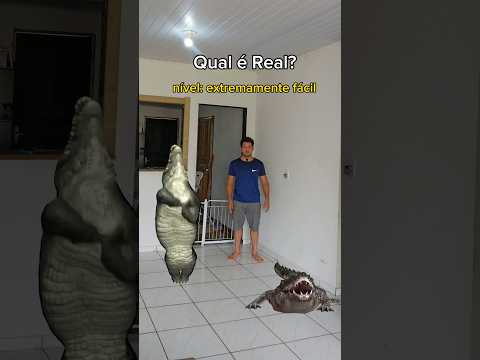 Qual é Real? nível extremamente fácil