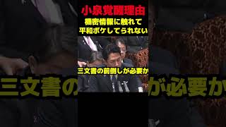 小泉進次郎が覚醒するほどの機密情報がこわい #政治 #議会 #高市早苗 #小泉進次郎 #自民党