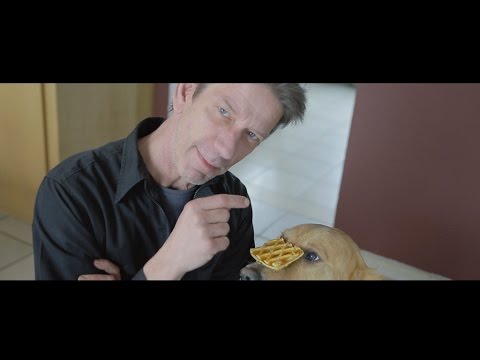 FANS OF FLANDERS - WABLIEF: Confituur