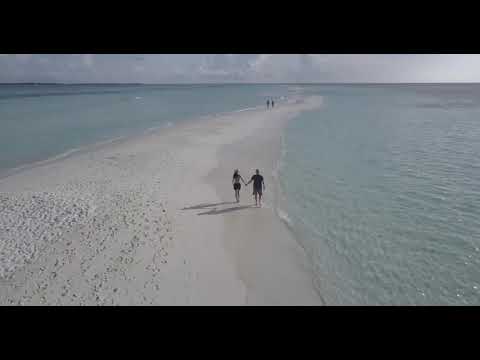 Couple Walking on a Beach Filmed with a Drone | 4K Ultra HD | Copyright Free