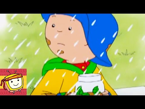 Caillou 308 - El Plato Favorito De Caillou (ESPAÑOL)