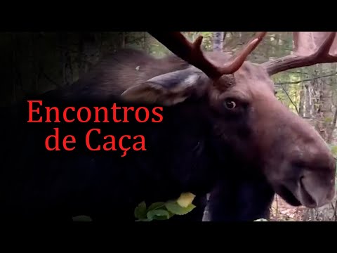 Os Piores Encontros de Caçadores