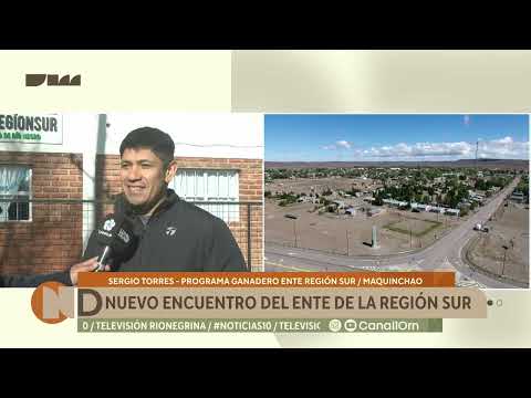 Nuevo encuentro del Ente de la Región Sur