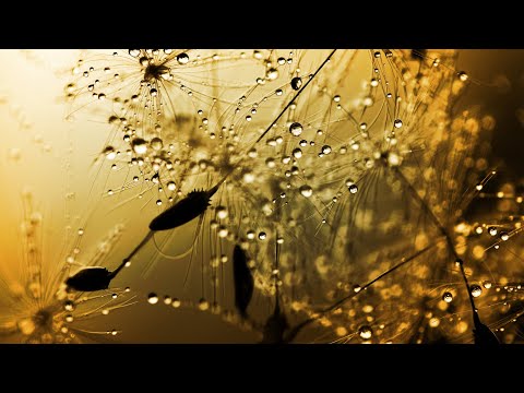 Wide Waters - Cycles