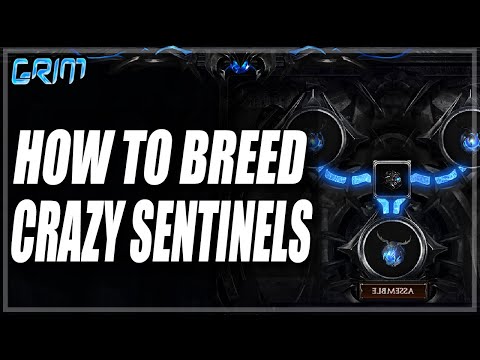 [PoE 3.18] How To Breed Sentinels Efficiently