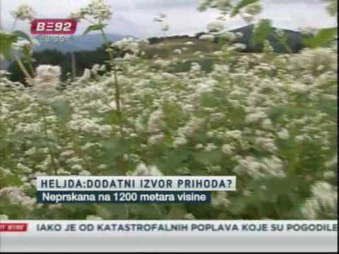 Heljda spas za planinska sela