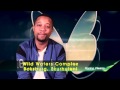 Spring Fiesta Shout Outs 2013 Lulo Cafe