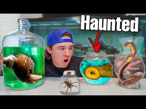 CREEPY DARK WEB MYSTERY FISH UNBOXING... (what's inside?)