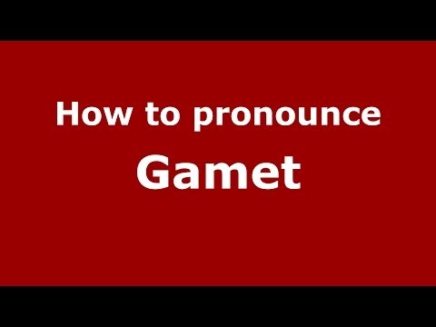 How to pronounce Gamet (French) - PronounceNames.com