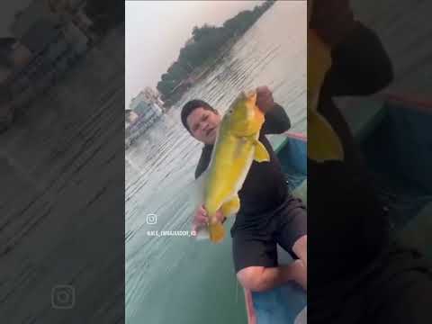 rio Xingu Altamira Pará ! e suas belezas naturais!