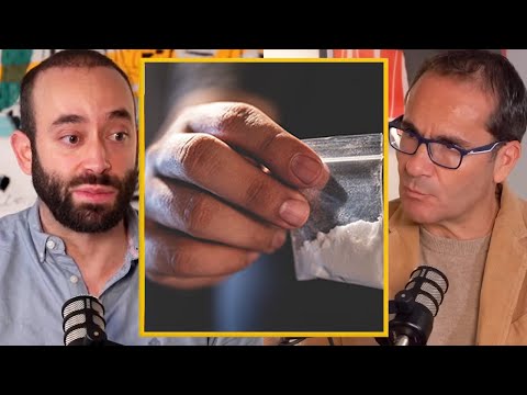 Cocaine: Why Is It Used So Much and What Are Its Real Risks – @Drogopedia