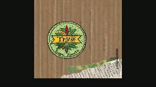 Tryo   Regardez les Live audio (432 hz)