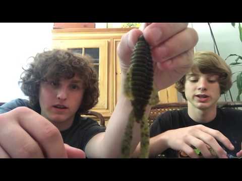 Intermediate Fishing Lures