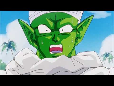 Picoro Conoce al Supremo Kaiosama