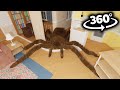Spiders Breaks into Your House! in 360°