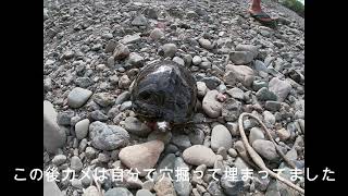 河原キャンプ