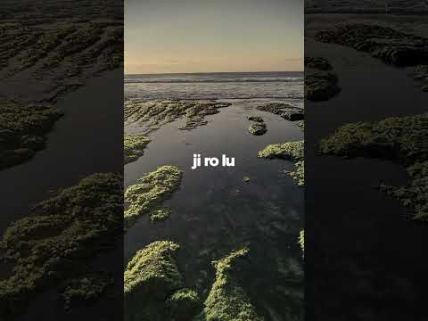 🎶 Garam & Madu (Sakit Dadaku) by Tenxi, Jemsii & Naykilla