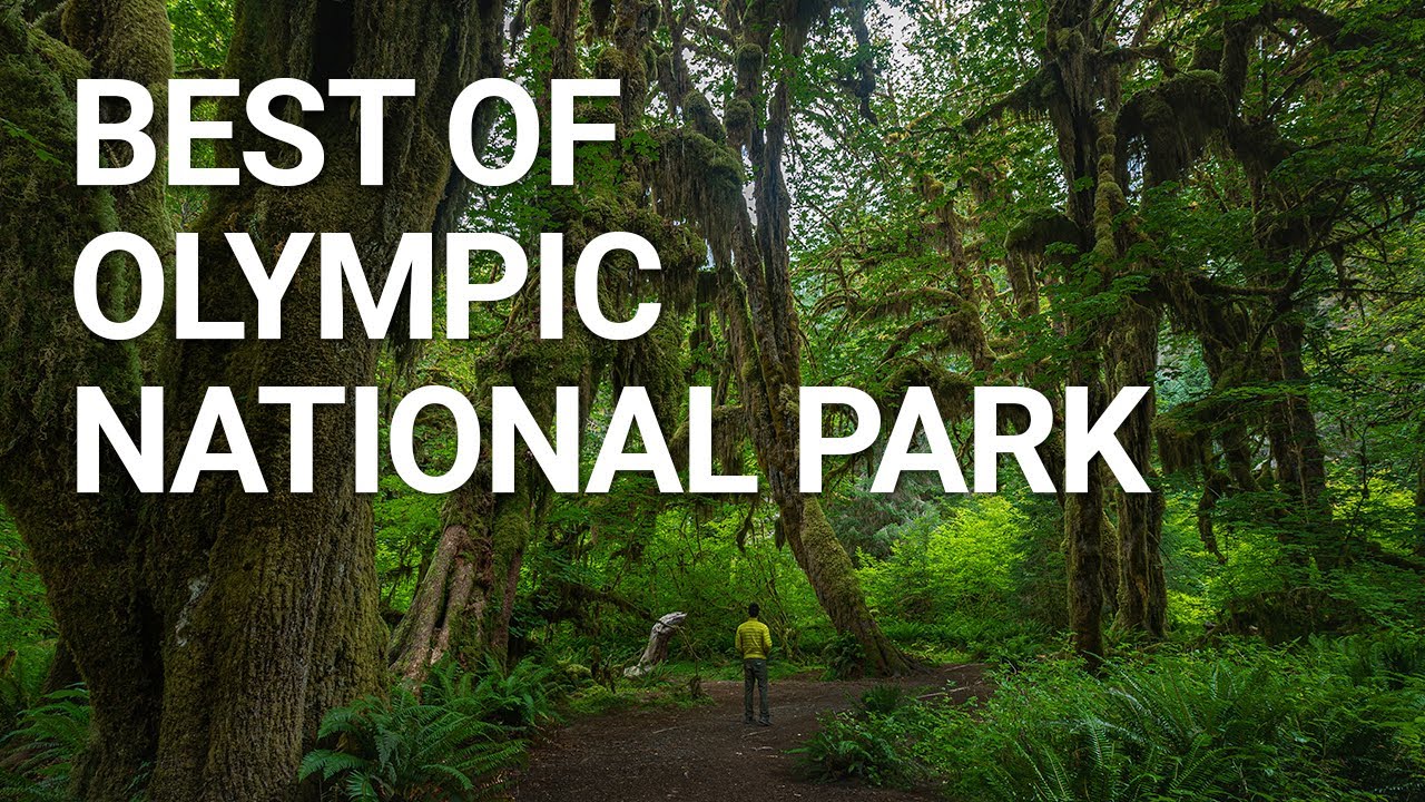 Top Things You NEED To Do In Olympic National Park