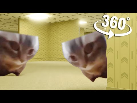 360° - CHIPI CHIPI CHAPA CHAPA CAT IN BACKROOM | VR/360°