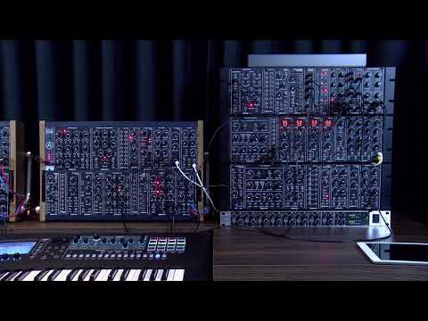 EMW - Noise Station + Random Pulse 4X