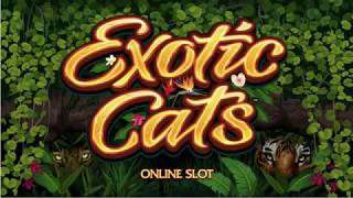 Exotic Cats Casino Slot